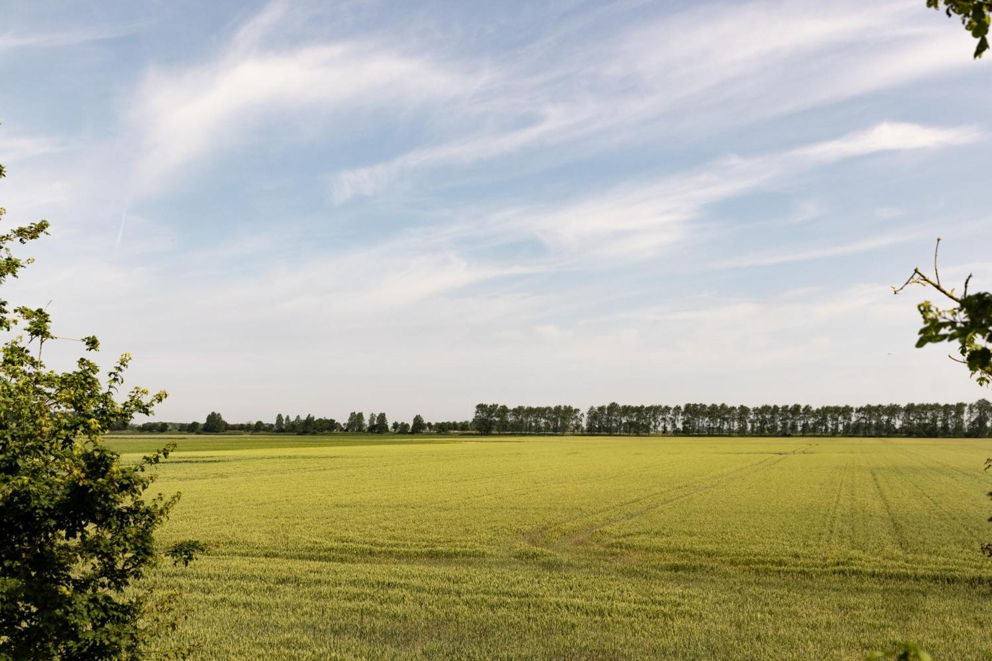 Hof Van Maldegem Kortgene Esterno foto