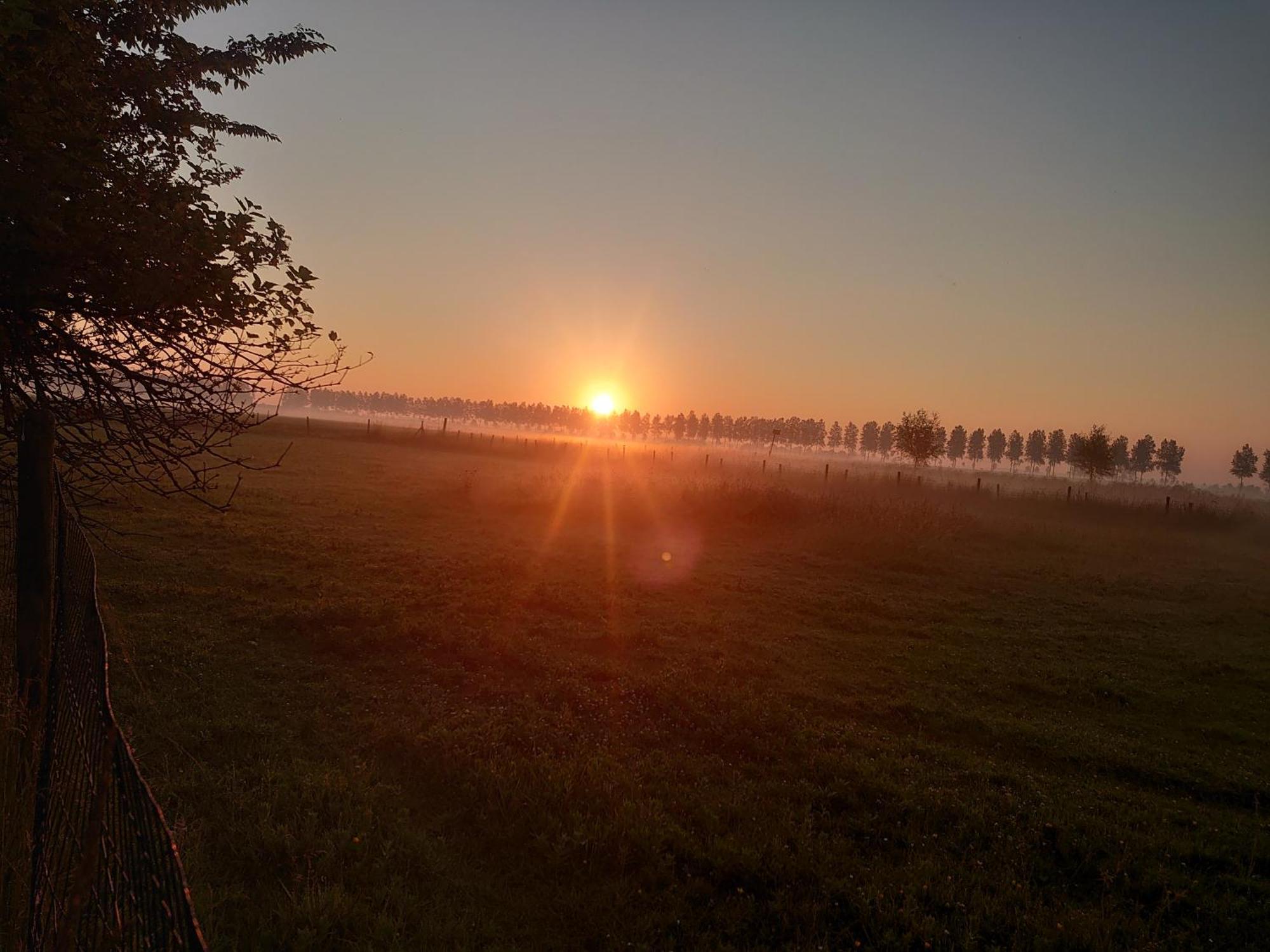 Hof Van Maldegem Kortgene Esterno foto